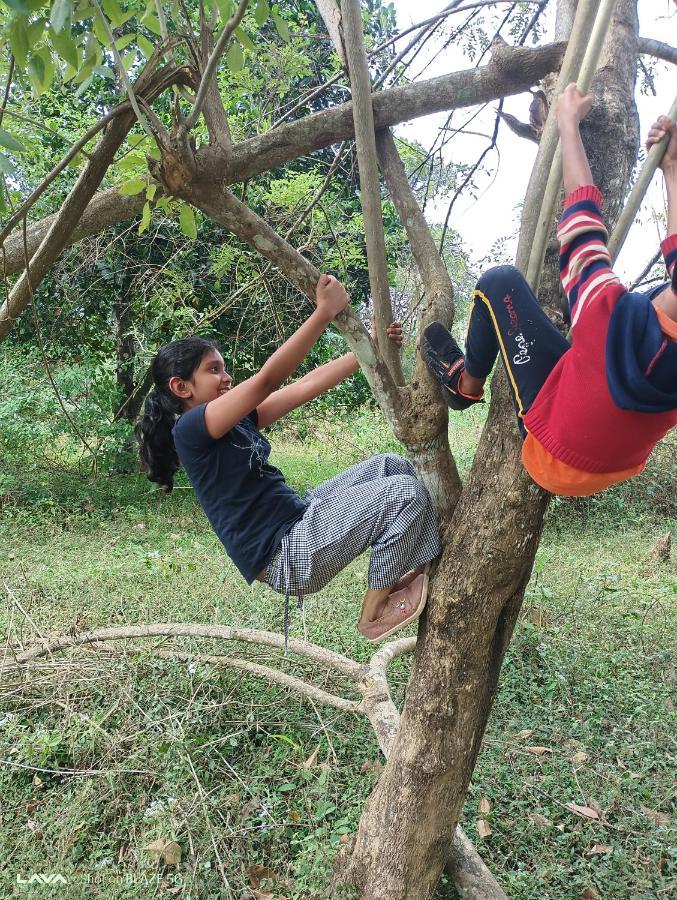 Appartamento Krishna Kuteera Siddāpur Esterno foto